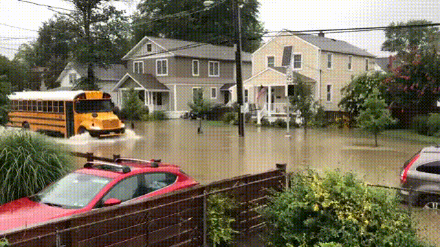 Https Encrypted Tbn0 Gstatic Com Images Q Tbn 3aand9gcsn56s48q6q8moqvf24uwzned56dojjvfhstq Usqp Cau