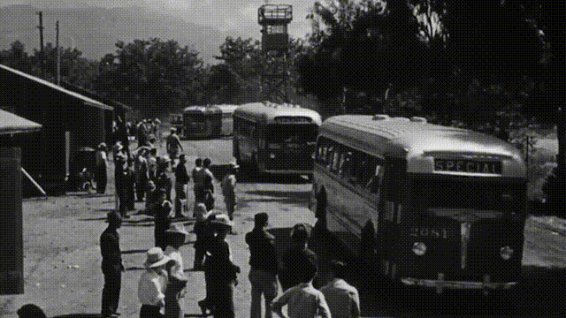 Https Encrypted Tbn0 Gstatic Com Images Q Tbn 3aand9gcr6 Srwvsiriifzuvnqmg2q6cgwikb Hn U7w Usqp Cau