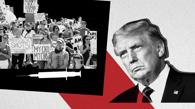 Https Encrypted Tbn0 Gstatic Com Images Q Tbn 3aand9gcsjjeceqvzyrwj4jhjkopmrv4loiblikwdqza Usqp Cau